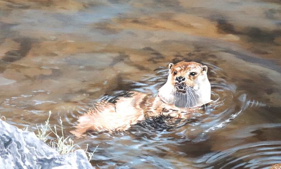 Tech River Otters