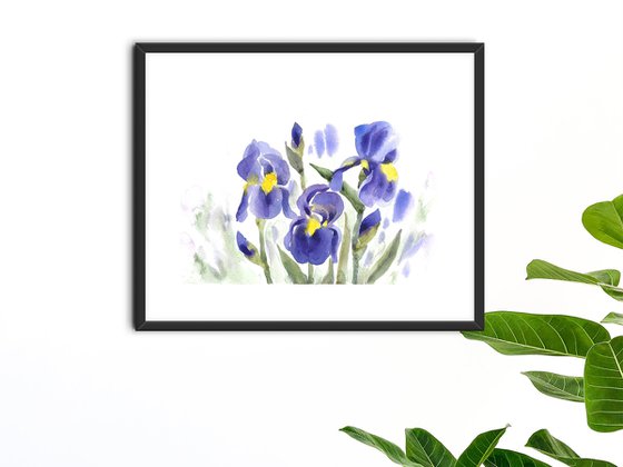 Irises flowers artwork, watercolor illustration