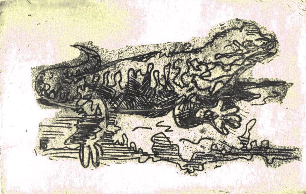 Illustrative Animal Etchings & Engravings By Kateryna Bortsova, 7 X 7", Lizard, Original Artwork