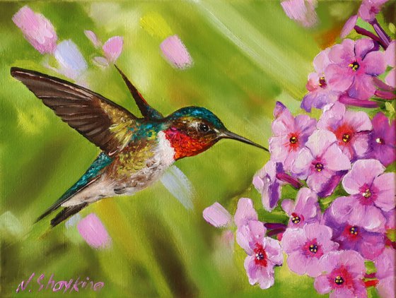 Hummingbird and Pink Blossoms