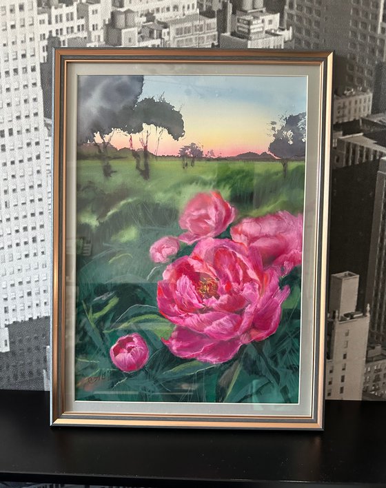 Peonies at Sunset