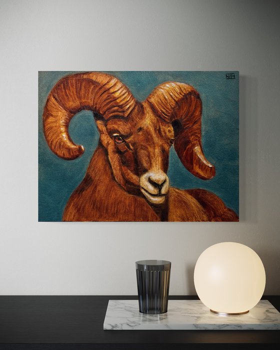 Ram Sheep