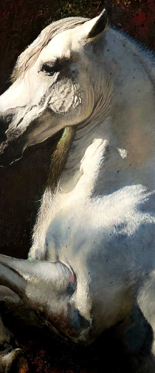 The White Horse by Paul Hardern