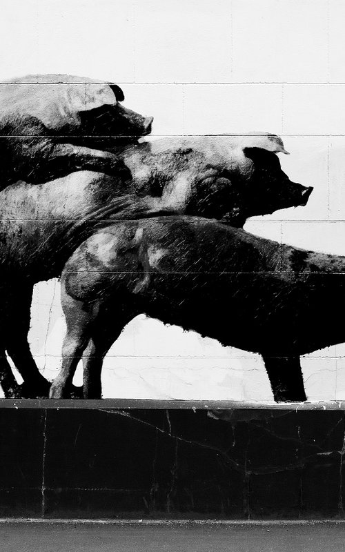 Virtual graffiti-Three Pigs by Martin  Fry