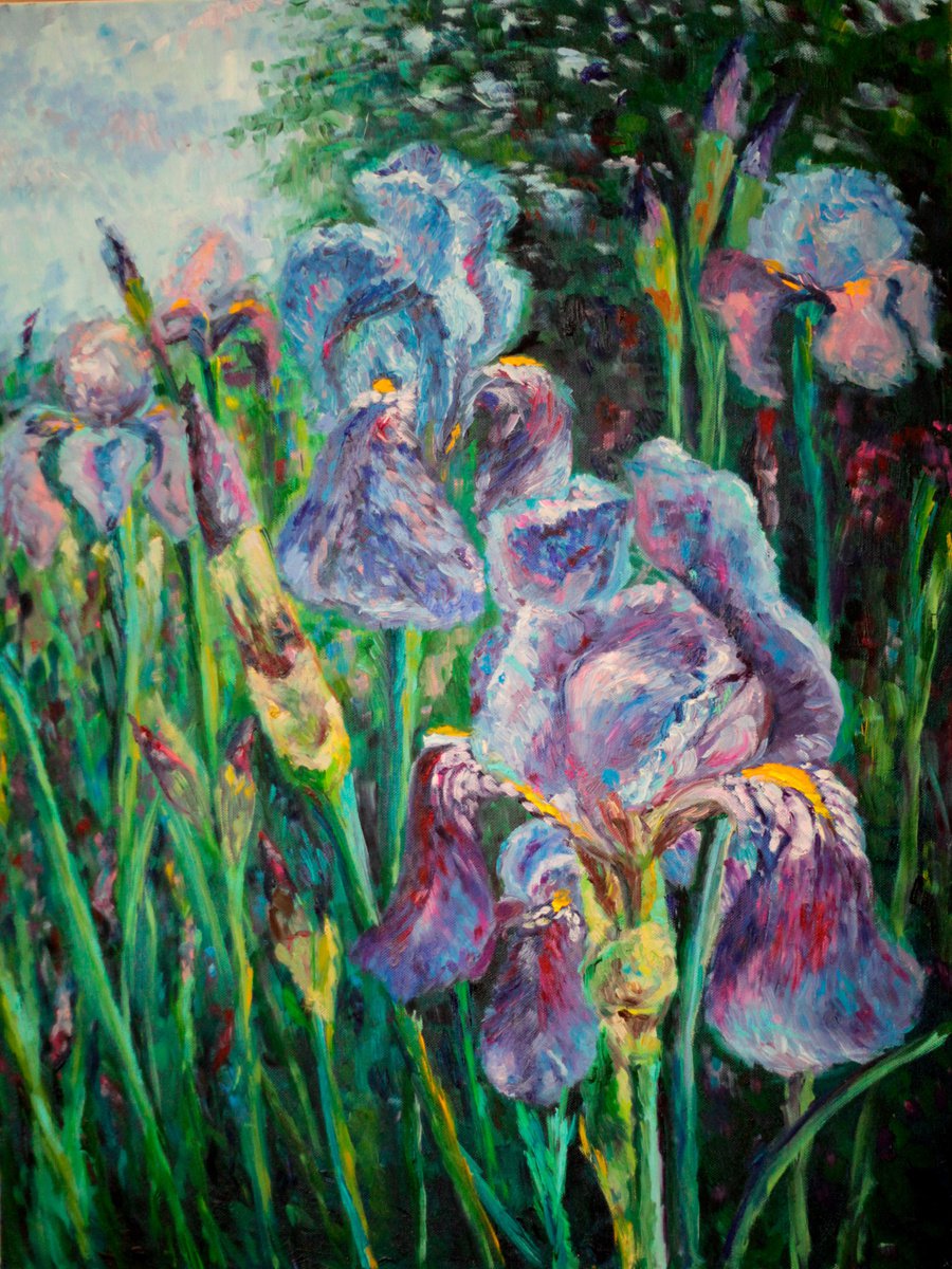 Irises by Ekaterina Orlova