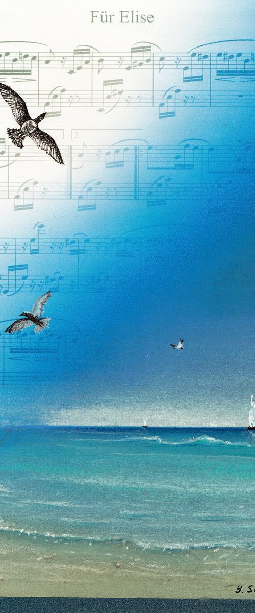Seagulls by Yulia Schuster