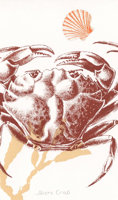 Shore Crab by Louise Boulton