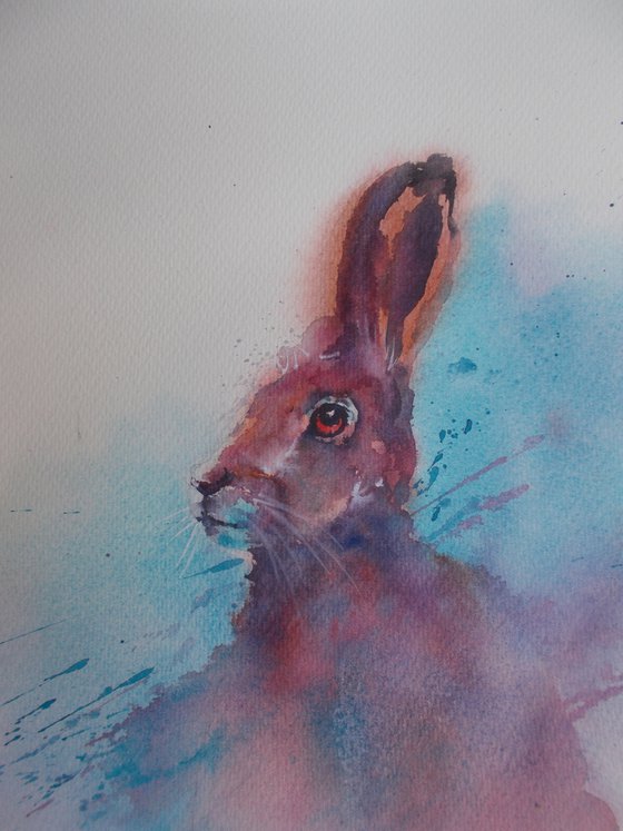 hare 7