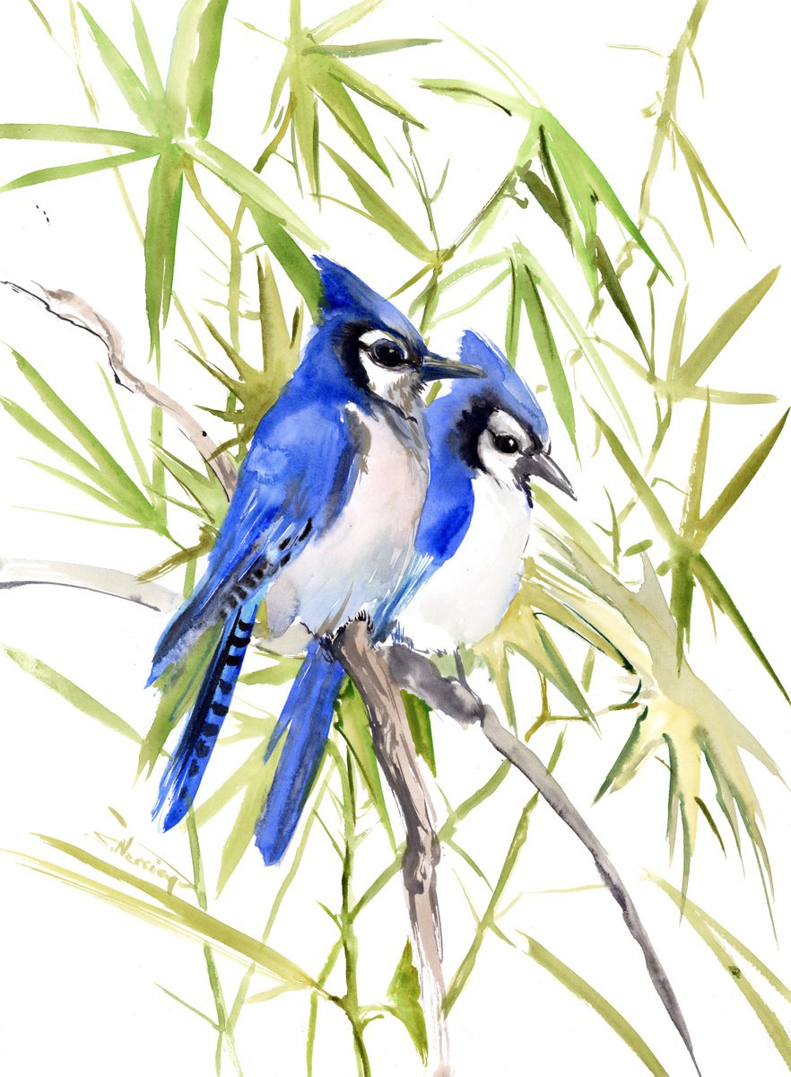 Blue Jay Birds by Suren Nersisyan