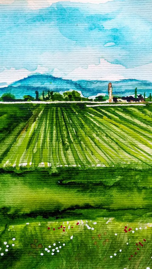 Italian landscape by Jelena Nova