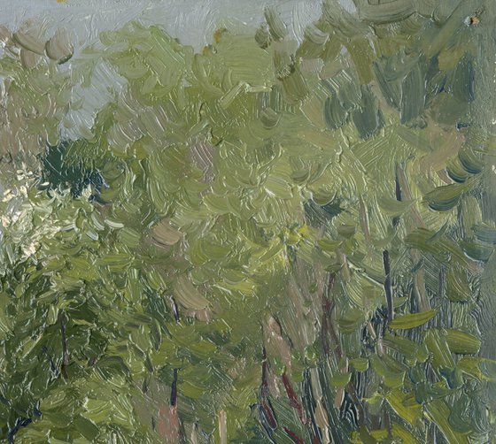 Spring. Kamenka River