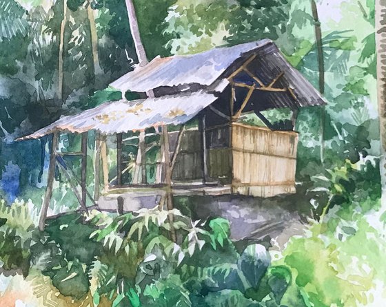 Shack in the jungle