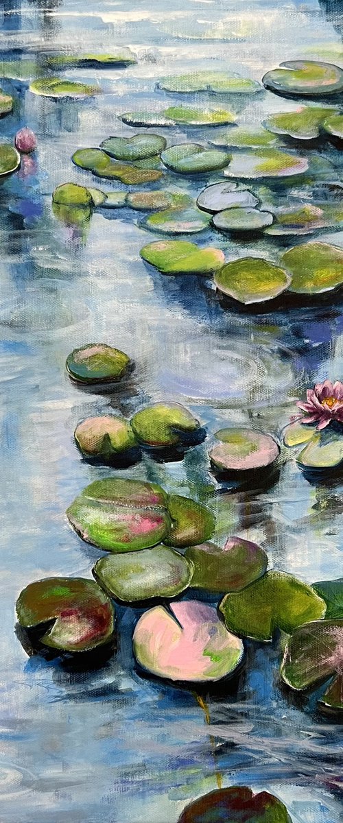 Sunshine On The Pond 3 by Sandra Gebhardt-Hoepfner