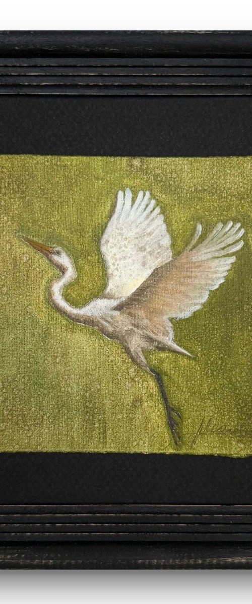 White Egret by Alina Marsovna