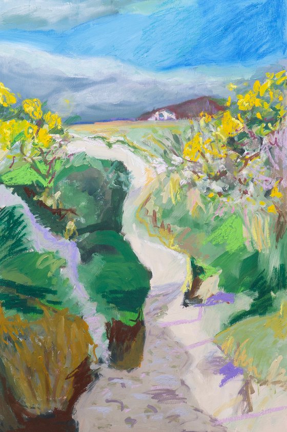 Through the Dunes to Camusdarach
