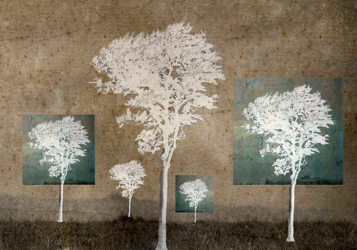 Landscape Photograph By Claire Newman-Williams, 24 X 18, Copse, Original Artwork