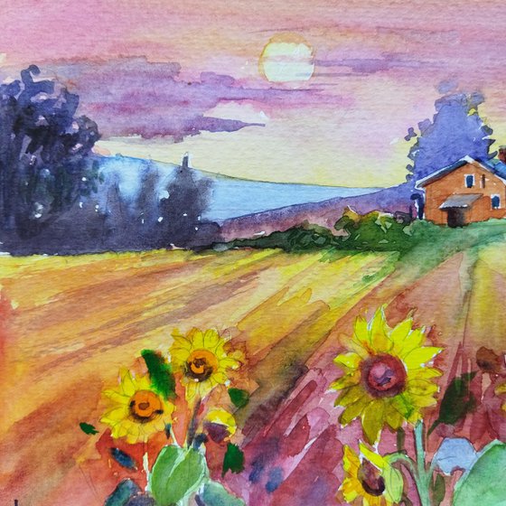 Sunset over sunflower farm