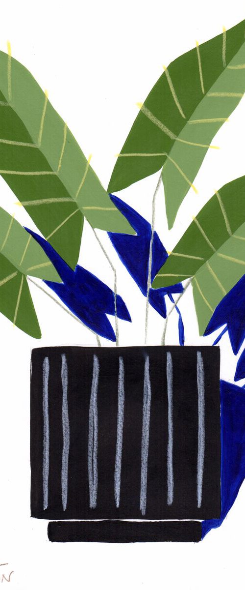 Abstract Plants 17 by Marisa Añón