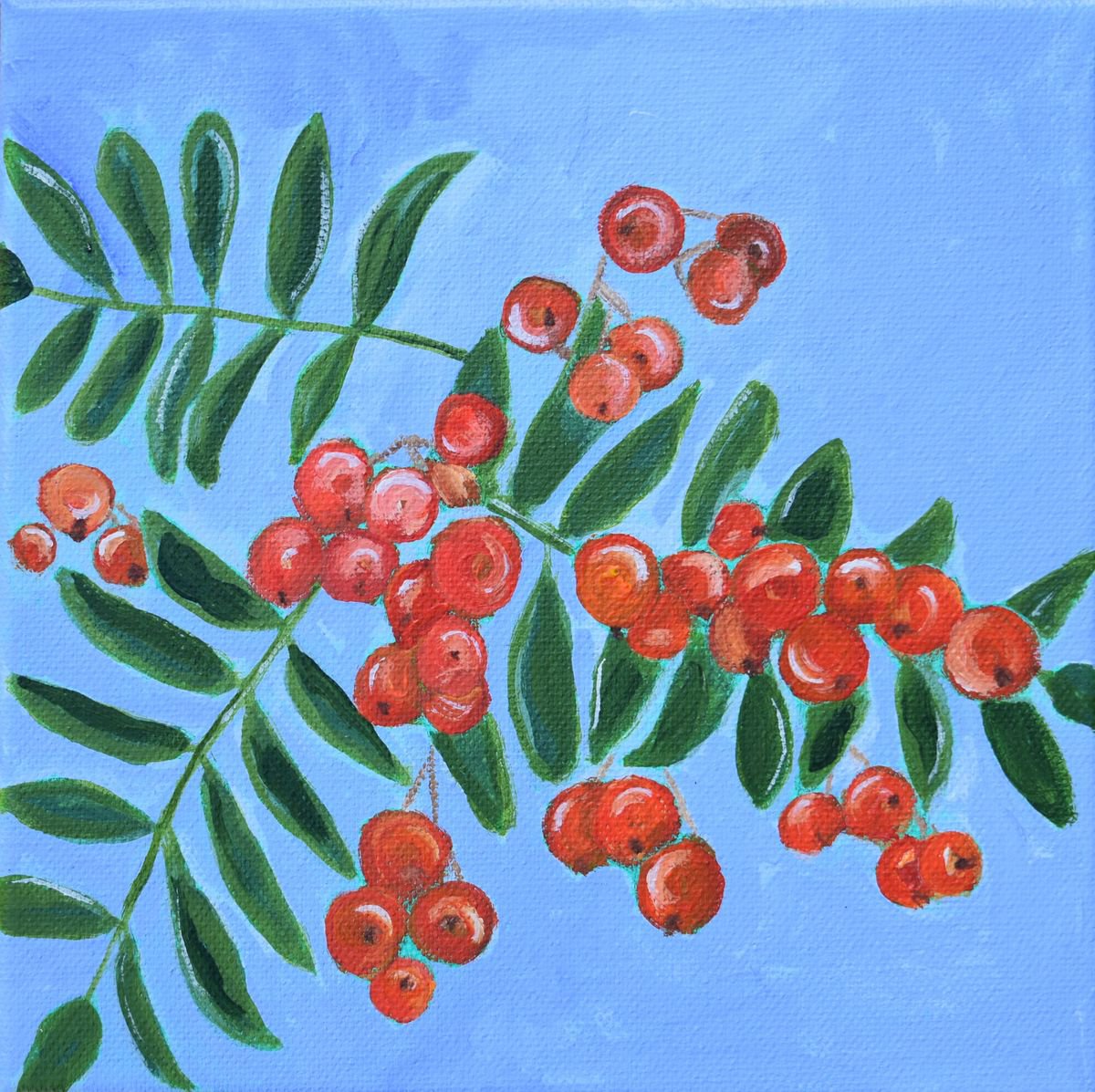 Moffat rowan berries by Alison Deegan