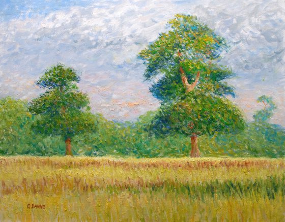 Two Oak Trees in Field