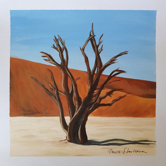Desert Acacia