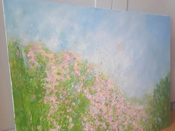 PINK SUMMER MORNING