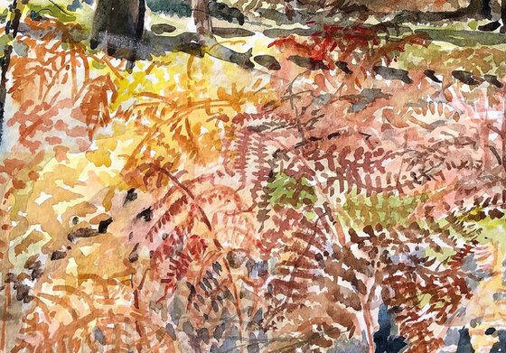 The Forest's Ferny Floor Watercolour by Morag Paul | Artfinder