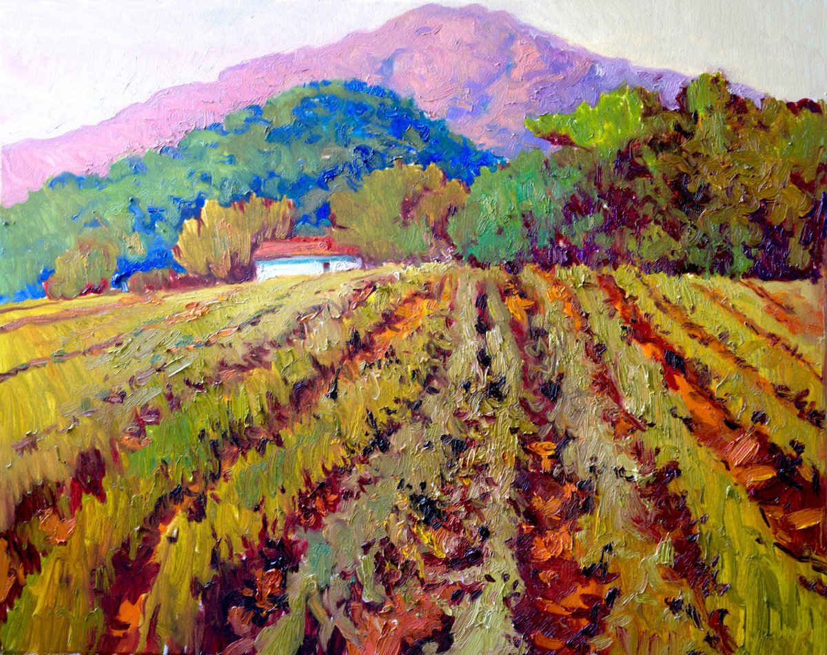 Vineyards in California by Suren Nersisyan
