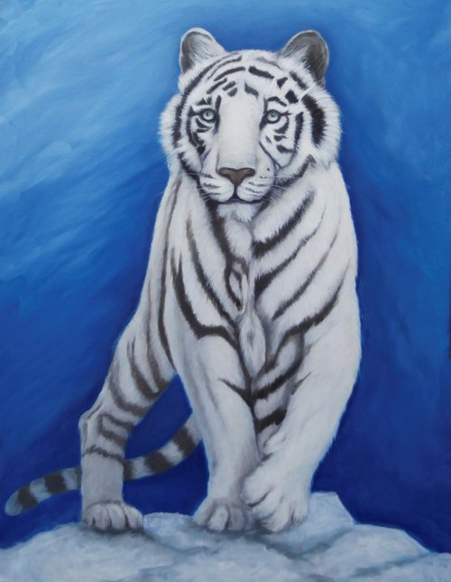 White tiger, Oil painting on canvas, "Out of the Blue" by Jane Moore