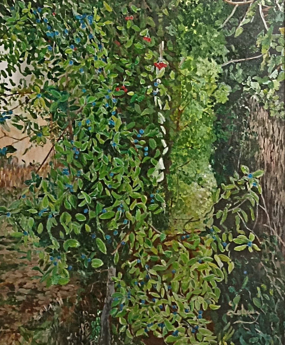 Impressionistic Botanical Oil Painting By Isabelle Lucas, 19 X 22, Tree Blue Thorn, Original Artwork