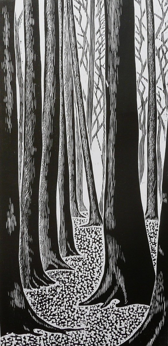 Limited Edition Print , Silent Eucalyptus Grove By Sergei Monin, 11 X 24, Artwork For Sale On Artfinder