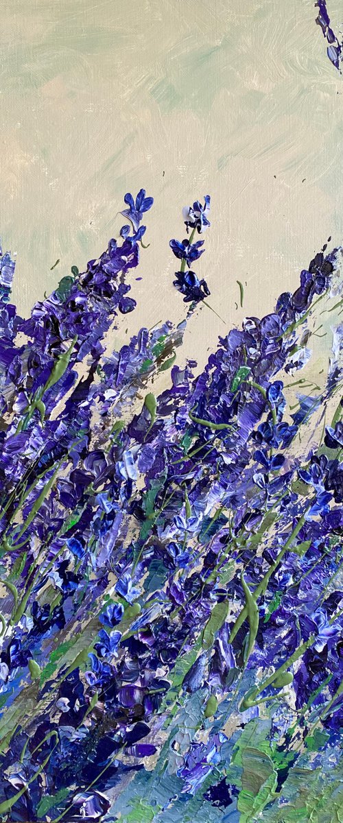 LAVENDER FIELD by Oksana Petrova
