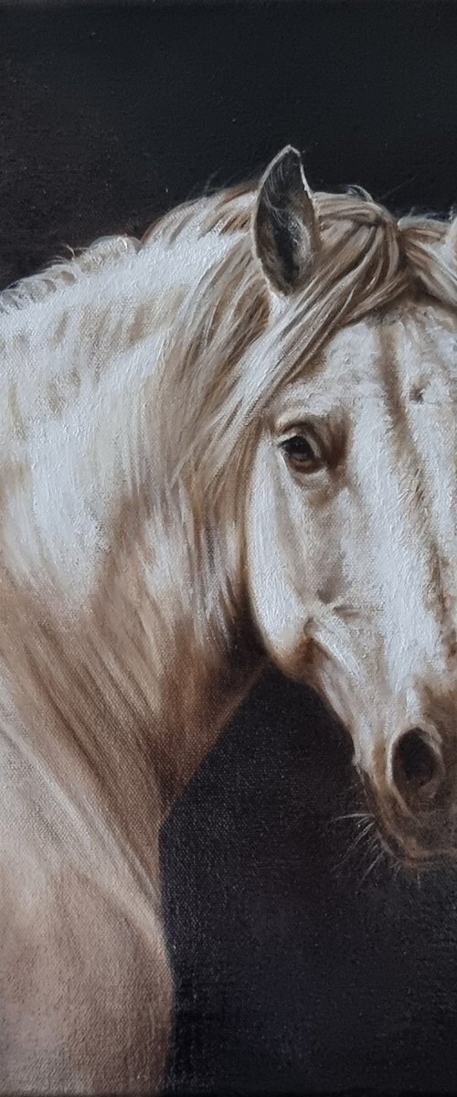 Horse portrait in monochrome by Anna Bessonova (Kotelnik)