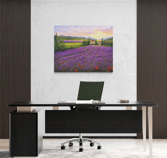 Purple lavender field