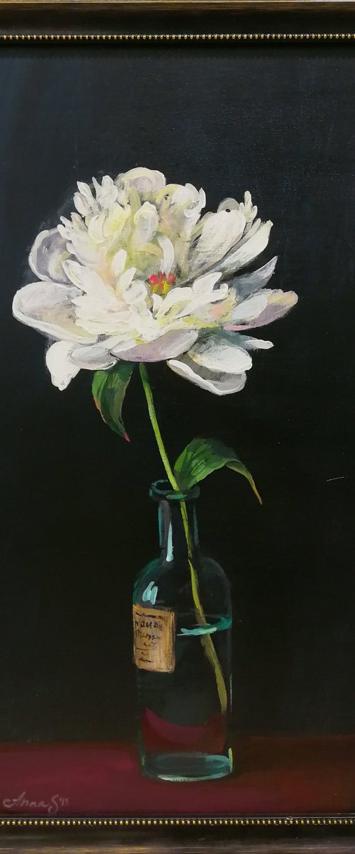 “Peony against a dark background” by Anna Silabrama