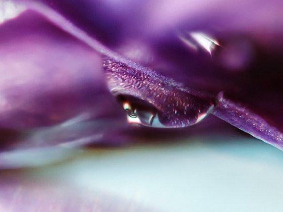 Onion Planet Dreamy Landscapes