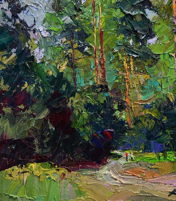 Along the Forest Path