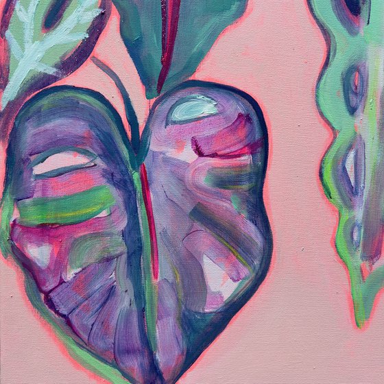 Alocasia Study III