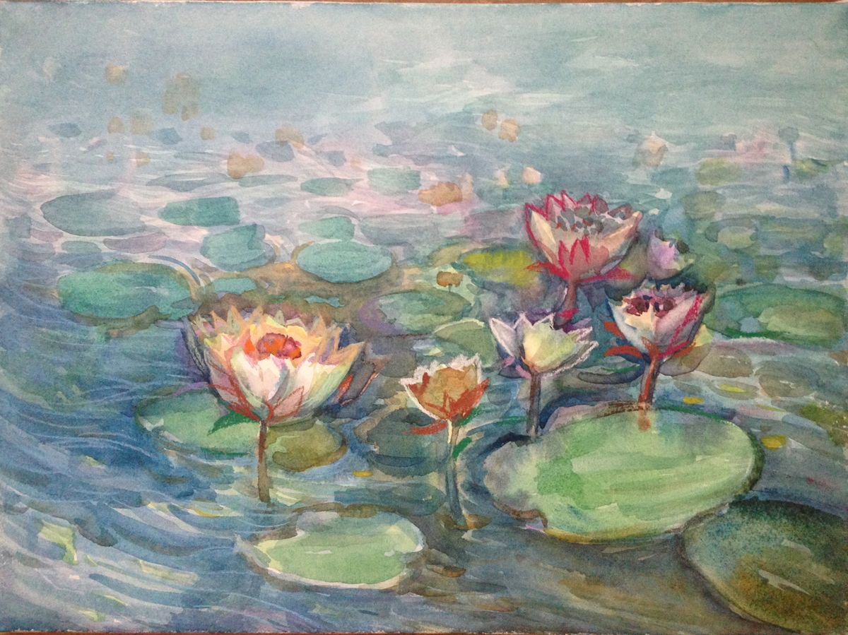 Water lilies by Roman Sergienko