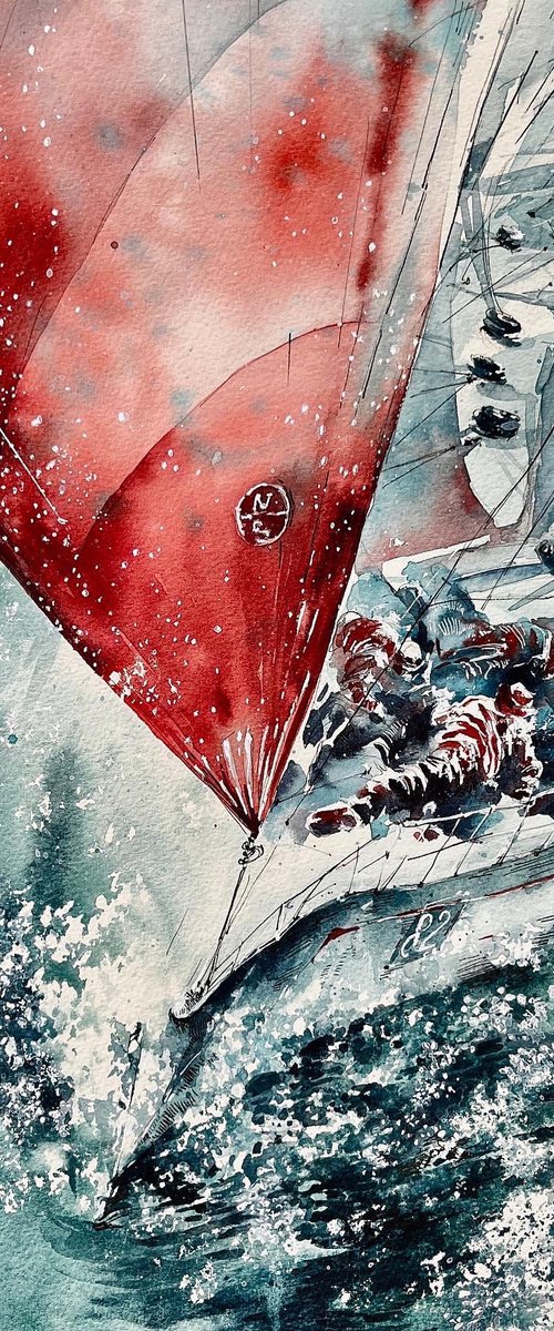 Spinnaker down! by Larissa Rogacheva