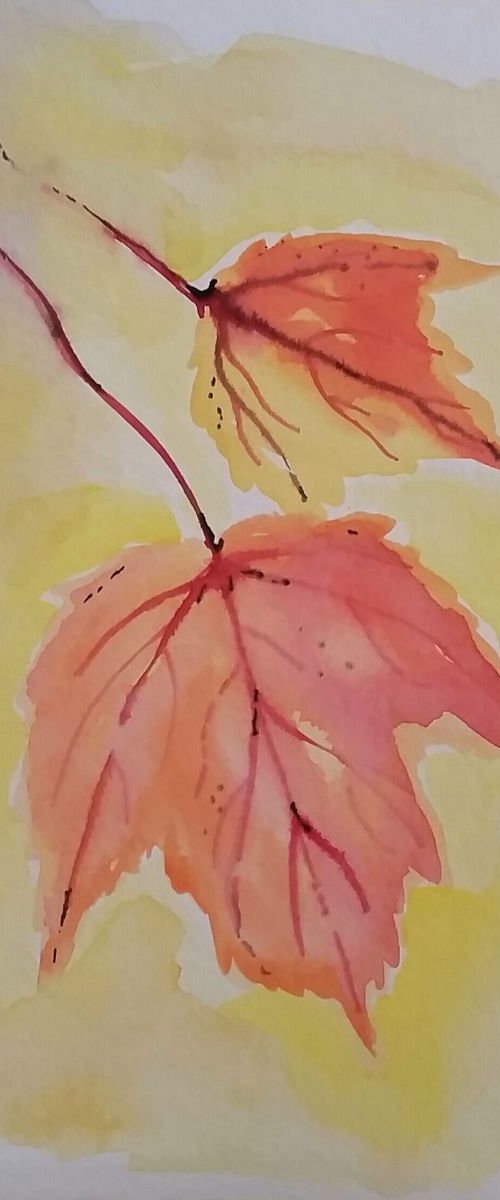 Falling by Katrina Case