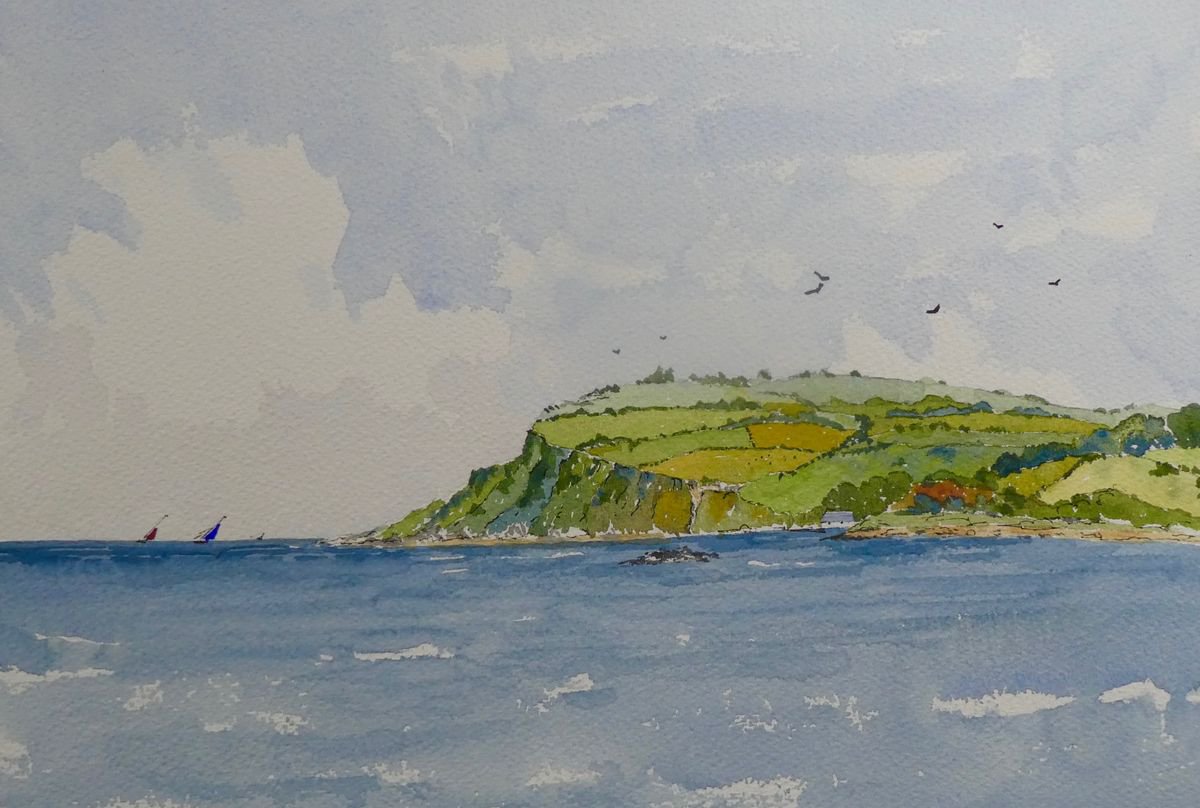 The Antrim Coast near Carnlough by Brian Tucker Artfinder