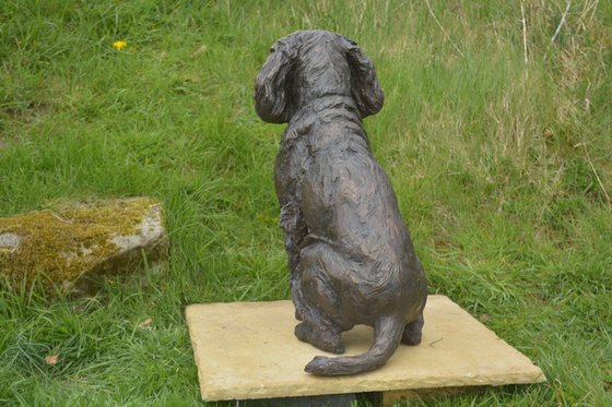 Working Spaniel FB