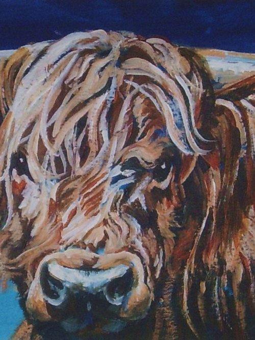 Highland Cow 2 by Max Aitken