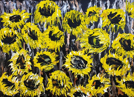 Sunflower field