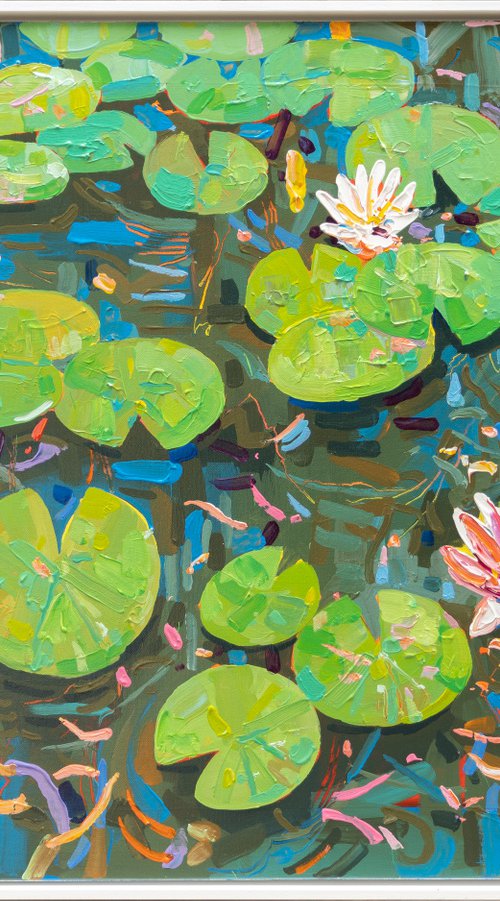 Tasman Lily Pond 50 by Joseph Villanueva