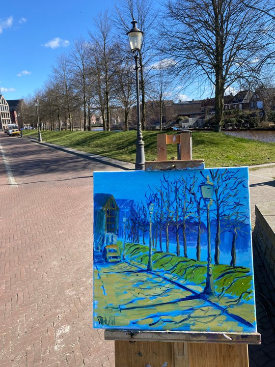 Spring morning shadows