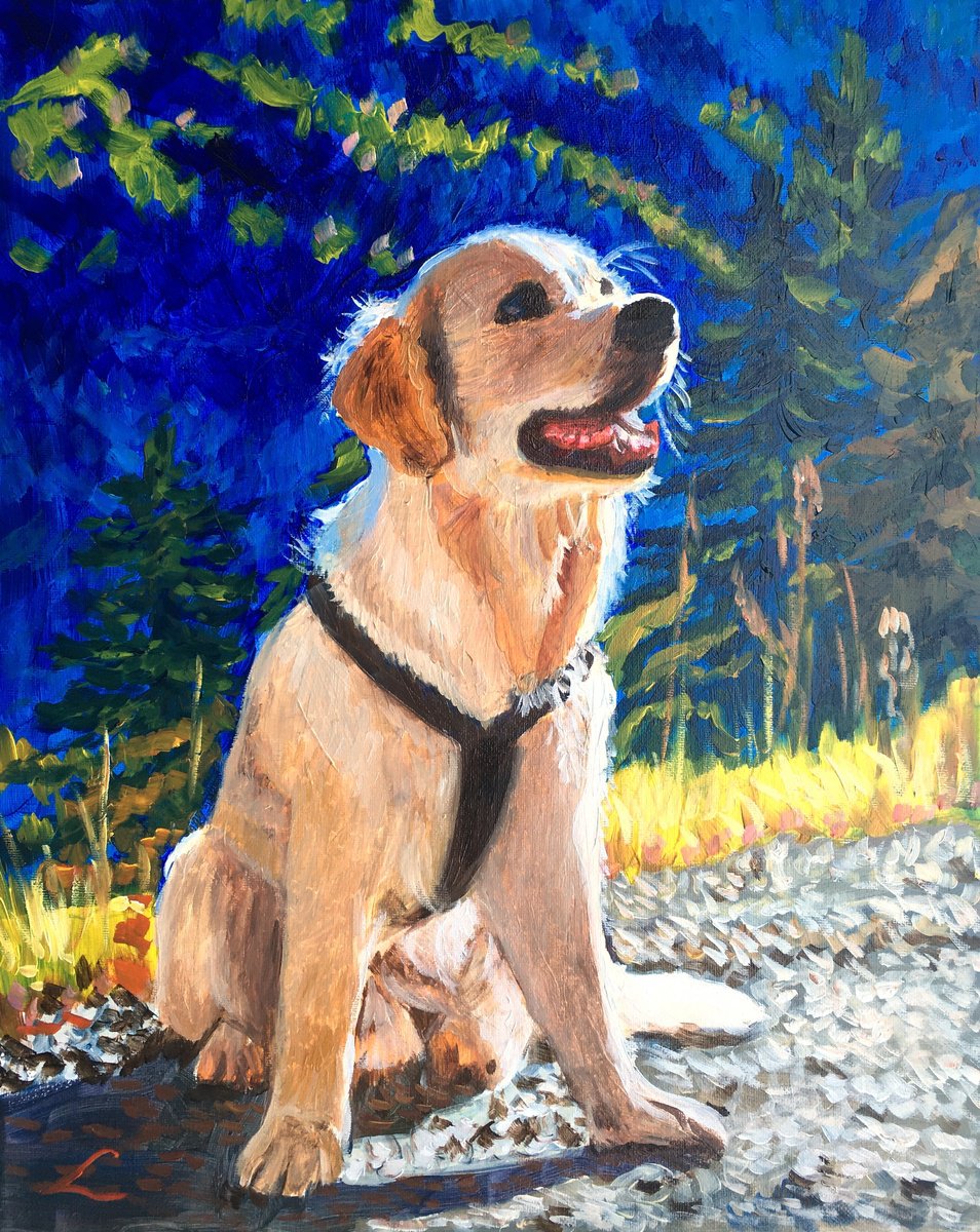 Impressionistic Animal Oil Painting By Elena Sokolova, 16 X 20, Dog On The Mountain Road, Original Artwork
