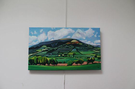 A Patchworked Skirrid