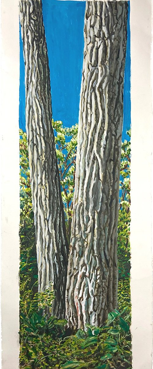 Cottonwood Pair by Michael E. Voss